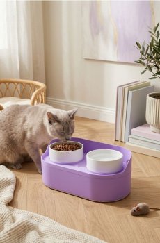 Набір піднятих мисок для собак та котів з контейнером для зберігання їжі - пурпуровий