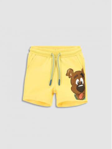 Coccodrillo Спортивні шорти WC3121501LIB Жовтий Regular Fit Coccodrillo Спортивні шорти WC3121501LIB Жовтий Regular Fit