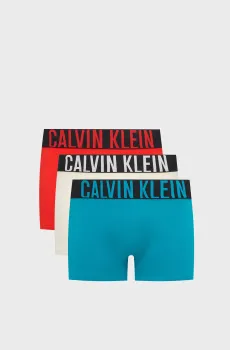 Мужские боксеры (3 шт) Разноцветный XL Calvin Klein 000NB3608A