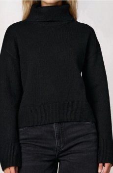 Гладка водолазка basic - чорний