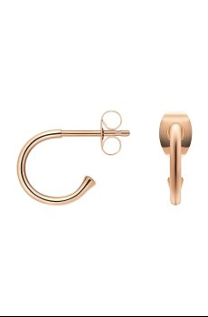 Сережки Daniel Wellington