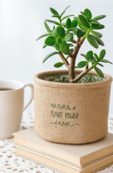 STORAGE BASKET - бежевий