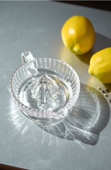 Соковитискач для цитрусових - білий