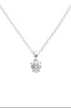 Серебряный кулон Daniel Wellington