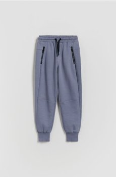 Reserved - Спортивні штани jogger - гіацинтовий - 403HK-54X