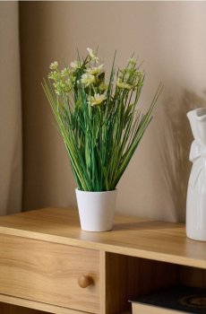 Декоративна рослина в горщику – трава та ромашки - світло-жовтий