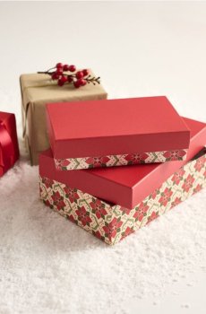 Подарункові коробки, набір з 2 - різнобарвний