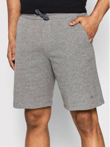 CMP Спортивні шорти 32D8137M Сірий Regular Fit CMP Спортивні шорти 32D8137M Сірий Regular Fit