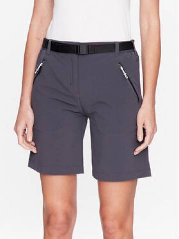 Regatta Спортивні шорти Xert III RWJ221 Сірий Regular Fit Regatta Спортивні шорти Xert III RWJ221 Сірий Regular Fit