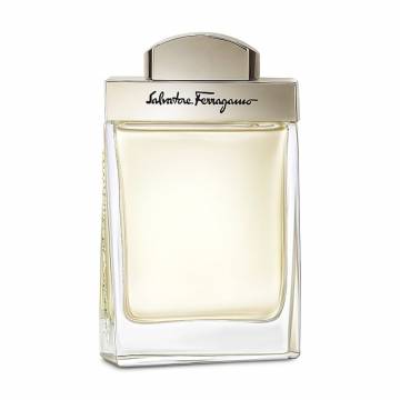 Salvatore Ferragamo Pour Homme Туалетная вода мужская, 100 мл (ТЕСТЕР) Salvatore Ferragamo Pour Homme Туалетная вода мужская, 100 мл (ТЕСТЕР)