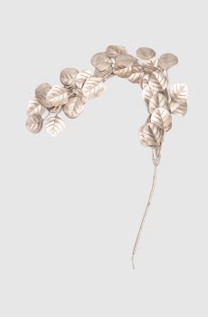 Серебристая декоративная ветвь эвкалипта