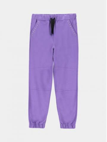 Coccodrillo Спортивні штани ZC3120102GGJ Фіолетовий Regular Fit Coccodrillo Спортивні штани ZC3120102GGJ Фіолетовий Regular Fit