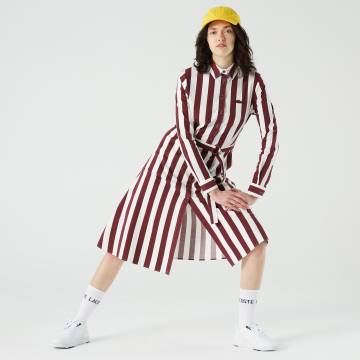 Lacoste сукня жіноча Lacoste сукня жіноча
