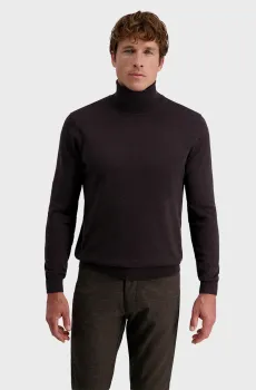 Мужской темно-коричневый гольф Коричневый M Pierre Cardin PC.-C5 51713.5133