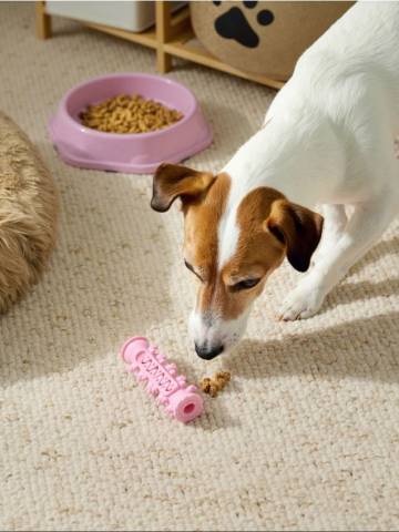 Іграшка для домашніх тварин - пастельний рожевий Іграшка для домашніх тварин - пастельний рожевий