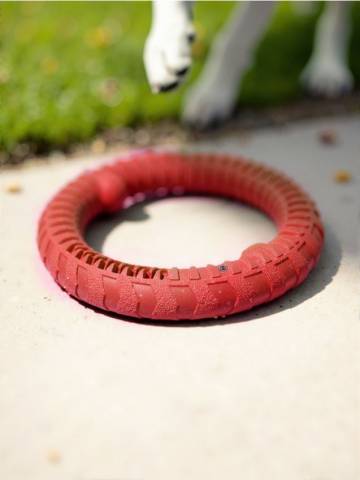 Іграшка для жування для собаки - червоний Іграшка для жування для собаки - червоний