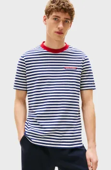 Мужская футболка в полоску AMERICANA GRAPHIC Разноцветный S Tommy Hilfiger MW0MW40705