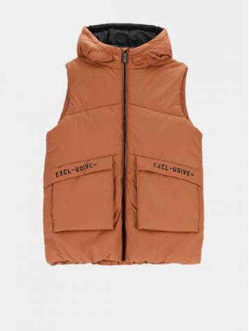 Coccodrillo Жилет ZC2178102OBJ Коричневий Regular Fit Coccodrillo Жилет ZC2178102OBJ Коричневий Regular Fit