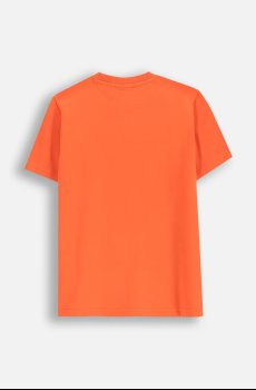 Детская хлопковая футболка Coccodrillo