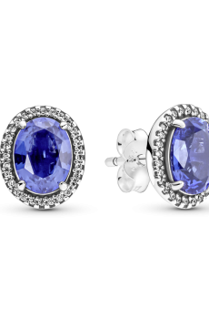 Сережки "Блискучий ореол"