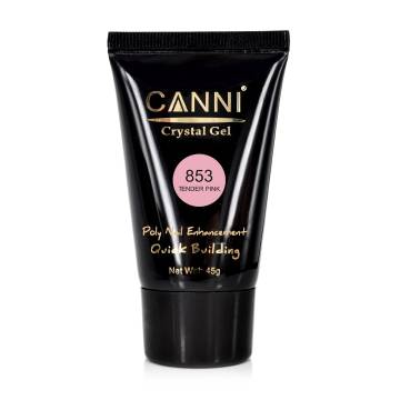 Конструирующий гель для ногтей Canni Crystal Gel 853 Tender Pink, 45 г Конструирующий гель для ногтей Canni Crystal Gel 853 Tender Pink, 45 г