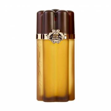 Remy Latour Cigar Туалетная вода мужская, 100 мл