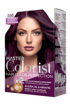 Краска для волос Master Colorist Hair Color Perfection 3.66 Aubergine Red, 210 мл