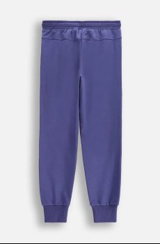 Детские спортивные штаны Coccodrillo