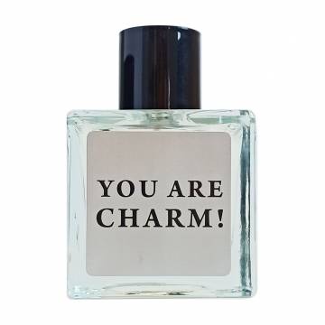 Aromat You are Charm! Туалетная вода мужская, 100 мл Aromat You are Charm! Туалетная вода мужская, 100 мл