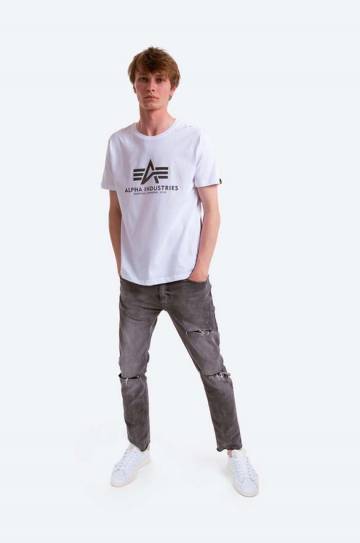 Хлопковая футболка Alpha Industries Rainbow Reflective цвет белый с принтом 100501RR.09-white Хлопковая футболка Alpha Industries Rainbow Reflective цвет белый с принтом 100501RR.09-white