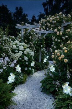 Садовий сонячний ліхтар у формі квітів - білий