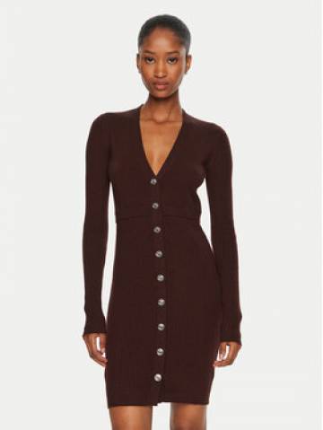 Pinko Трикотажна сукня Riserva 104017 A15S Коричневий Regular Fit Pinko Трикотажна сукня Riserva 104017 A15S Коричневий Regular Fit