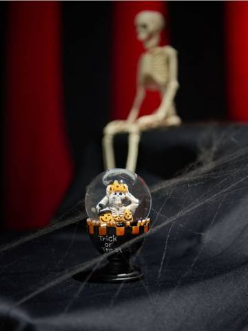 Сніжна куля Halloween - різнобарвний Сніжна куля Halloween - різнобарвний