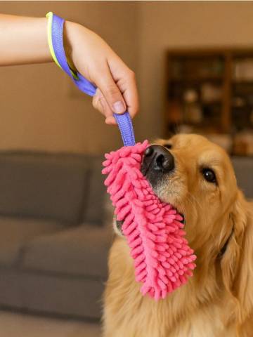 Іграшка для собак - різнобарвний Іграшка для собак - різнобарвний