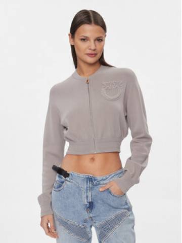 Pinko Кардиган Bambusa 102819 A115 Сірий Regular Fit Pinko Кардиган Bambusa 102819 A115 Сірий Regular Fit