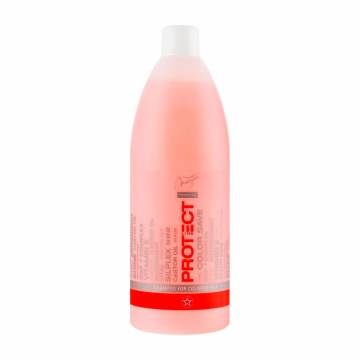 Шампунь Spa Master Protect Color Shampoo для окрашенных волос, 970 мл Шампунь Spa Master Protect Color Shampoo для окрашенных волос, 970 мл