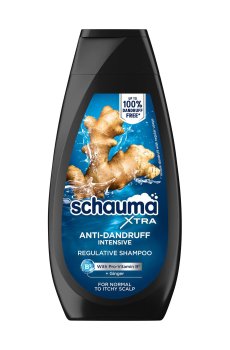 Мужской шампунь для волос Schauma Anti-Dandruff Intensive Shampoo против перхоти, 350 мл
