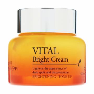 Осветляющий крем для лица The Skin House Vital Bright Cream витаминизированный, 50 мл Осветляющий крем для лица The Skin House Vital Bright Cream витаминизированный, 50 мл