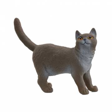 Фігурка Schleich Британська короткошерста кішка (13973) Фігурка Schleich Британська короткошерста кішка (13973)