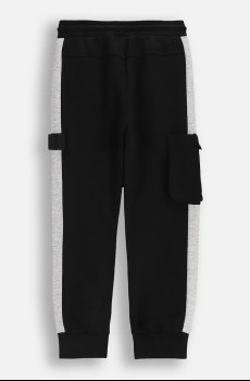 Детские спортивные штаны с хлопком Coccodrillo