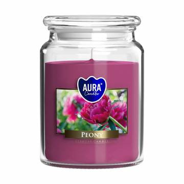 Ароматическая свеча в банке Bispol Scented Candle Aura Peony, 500 г (snd99-157) Ароматическая свеча в банке Bispol Scented Candle Aura Peony, 500 г (snd99-157)