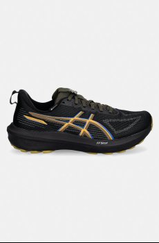 Обувь для бега Asics GT-100 GTX