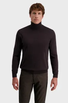 Мужской темно-коричневый гольф Коричневый M Pierre Cardin PC.-C5 51713.5133