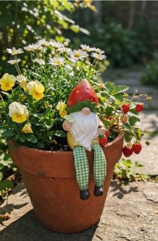 Садова декорація у формі гнома з полуничним мотивом - різнобарвний