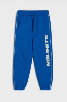 Спортивні штани джогери - синій