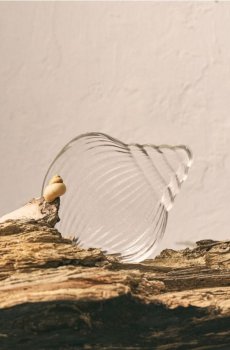 Декоративний скляний піднос у формі мушлі - clear