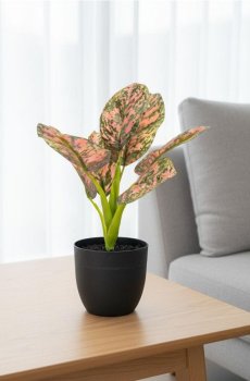 Штучна декоративна рослина в горщику з кольоровим листям - різнобарвний