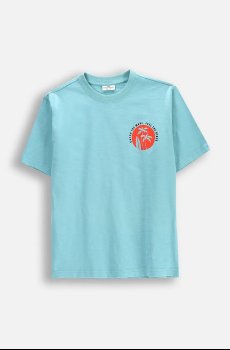 Хлопковая футболка Coccodrillo