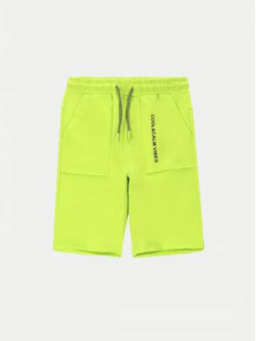 Coccodrillo Спортивні шорти WC4120501VBC Зелений Regular Fit Coccodrillo Спортивні шорти WC4120501VBC Зелений Regular Fit