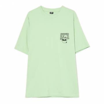 Cropp - Футболка, оздоблена вишивкою - блідо-зелений Cropp - Футболка, оздоблена вишивкою - блідо-зелений